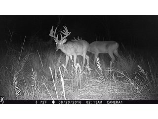 Property photo 62 - LAND AUCTION - 440+/- ACRES OFFERED IN 17 TRACTS IN OSAGE CO., OKLAHOMA